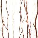 trail | 3form